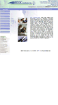 Mobile Screenshot of eeoconsultants.com